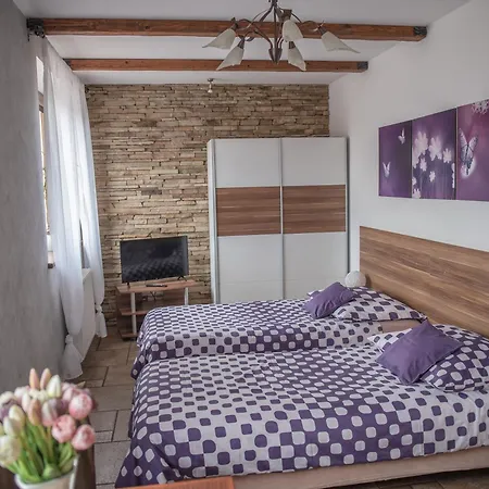Maison d'hôtes U Pece Olomouc